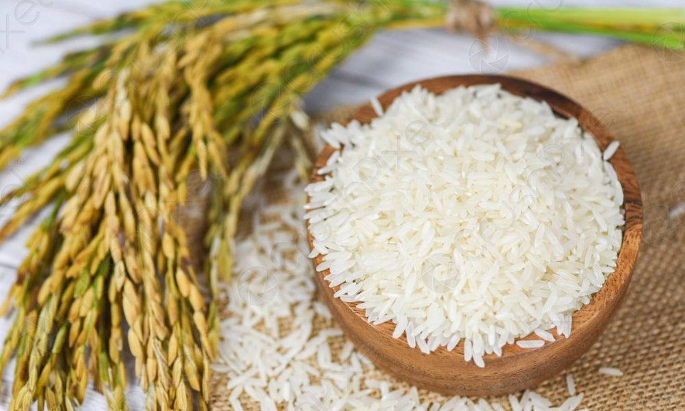 IRRI 6 Rice for sale in Pakistan