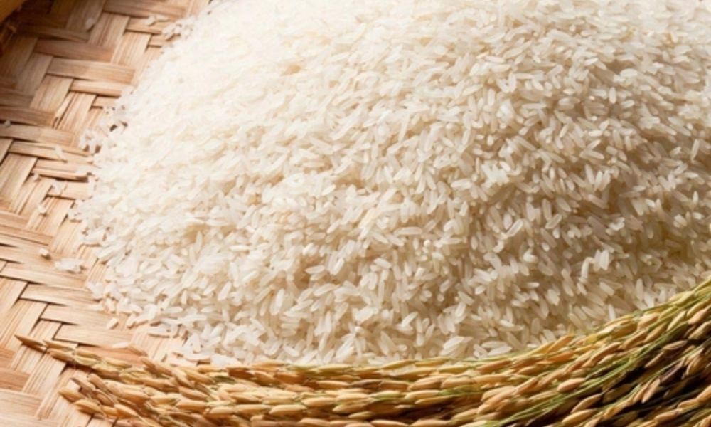 KS 282 Rice for sale in Pakistan