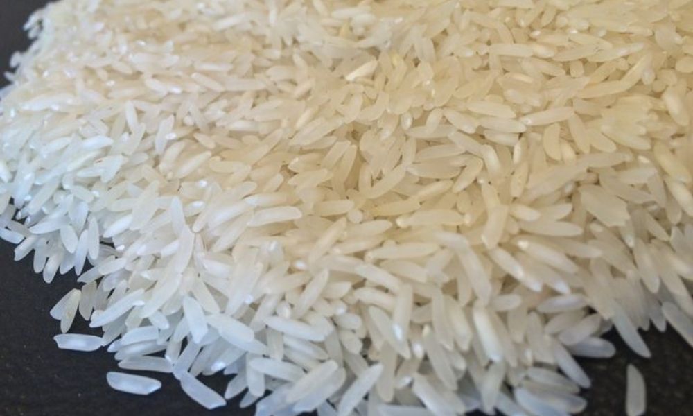 PK 386 Rice for sale in Pakistan